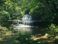 step waterfall in the forest